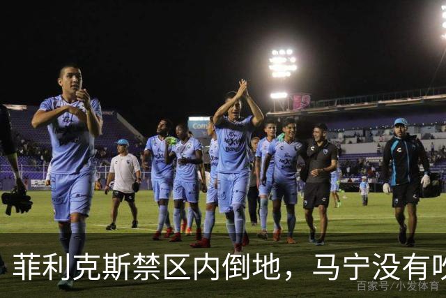 菲利克斯禁区内倒地，马宁没有吹犯规